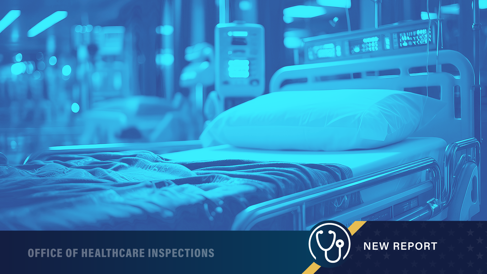 Hospital Bed, Office of Healthcare Inspections