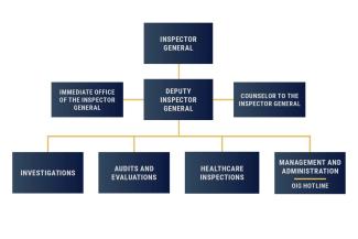 VA OIG Structure